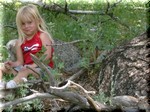 t_picture_0247.jpg